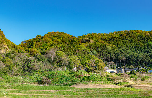 里山