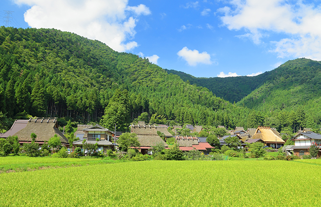 100万円まで