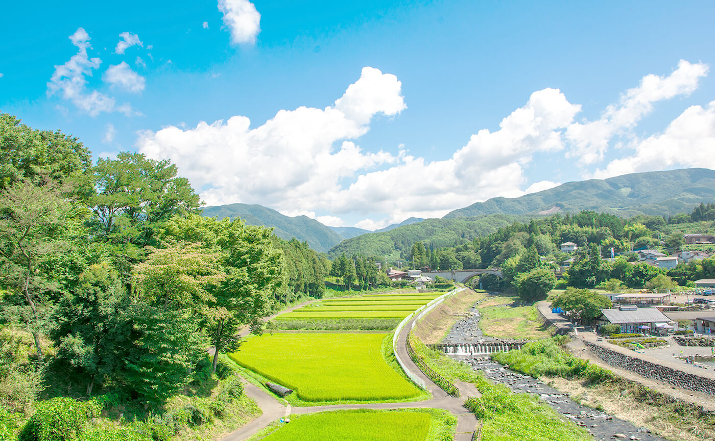 代表挨拶