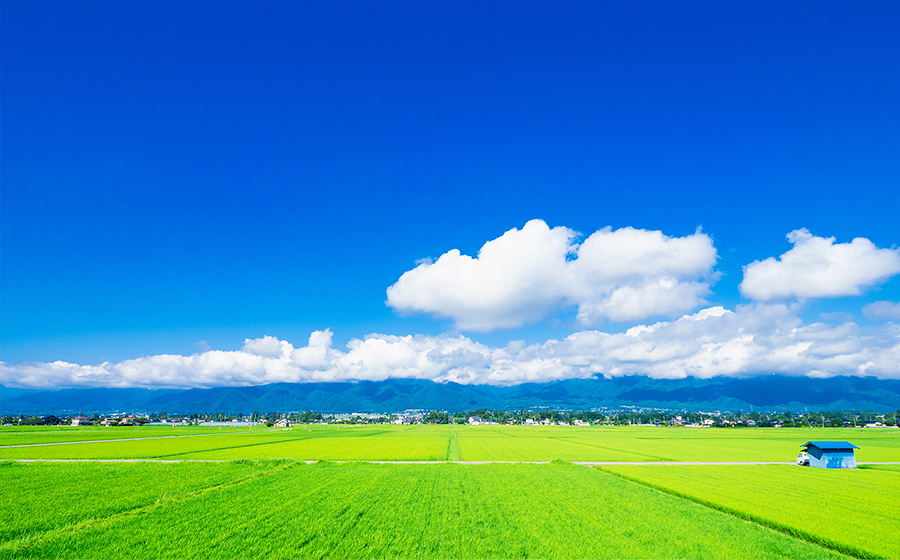 田舎暮らし向け不動産県内トップクラスの売却実績